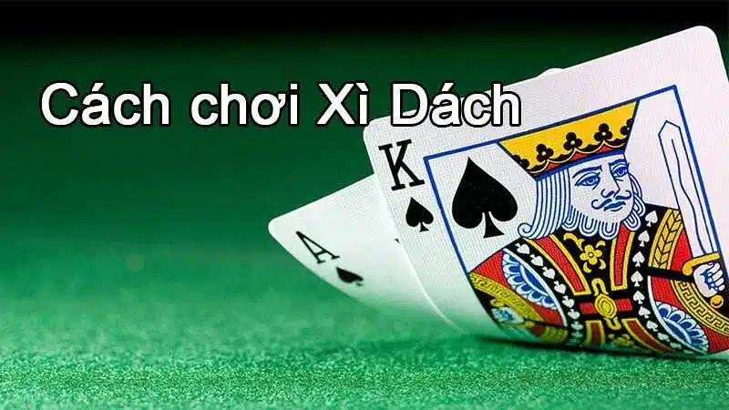 Xì dách Rs8